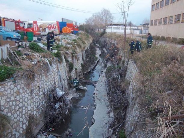 Δύο σκυλιά εγκλωβίστηκαν σε ρέμα στον Βοτανικό